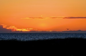 Borum solnedgång hav gotland