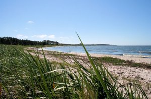 borum strand gotland