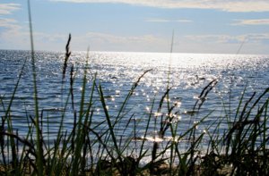 Borum havet gotland