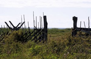 Borum gotlandstun gotland