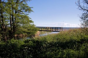 Borum natur gotland