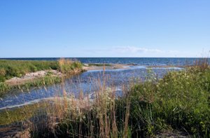 Borum å Gotland