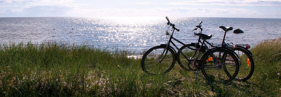 Borum cykla gotland