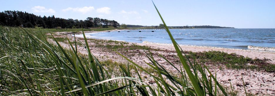 Borum strand gotland