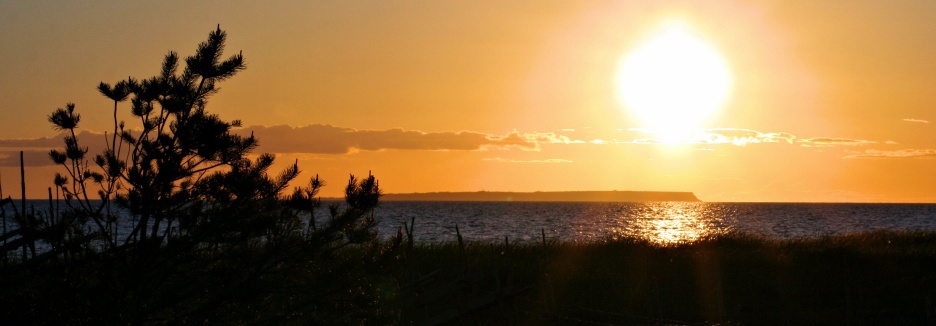 Borum solnedgång gotland