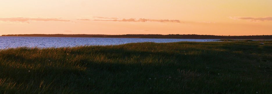 Borum stugor & vandrarhem Gotland